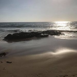 Meet your Posher, Maggie